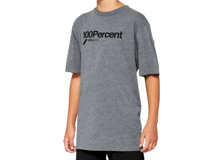 100% Manifesto Youth t-shirt Heather Grey KL