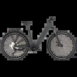 Bergamont E-Revox Tour 20 Low | E-Mountainbike | 29″ | 800Wh Bosch CX | flaky black