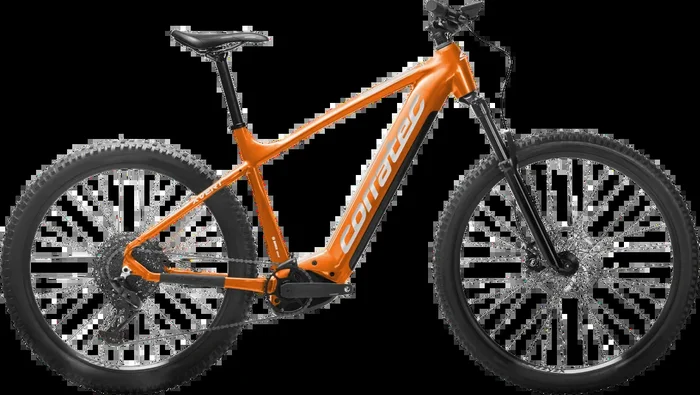 Corratec E-Power X Vert Race 2024