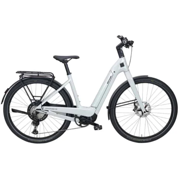 Kettler Quadrano Pro 12 LTD Carbon E-Trekkingrad Tiefeinsteiger 28″ grau 50 cm