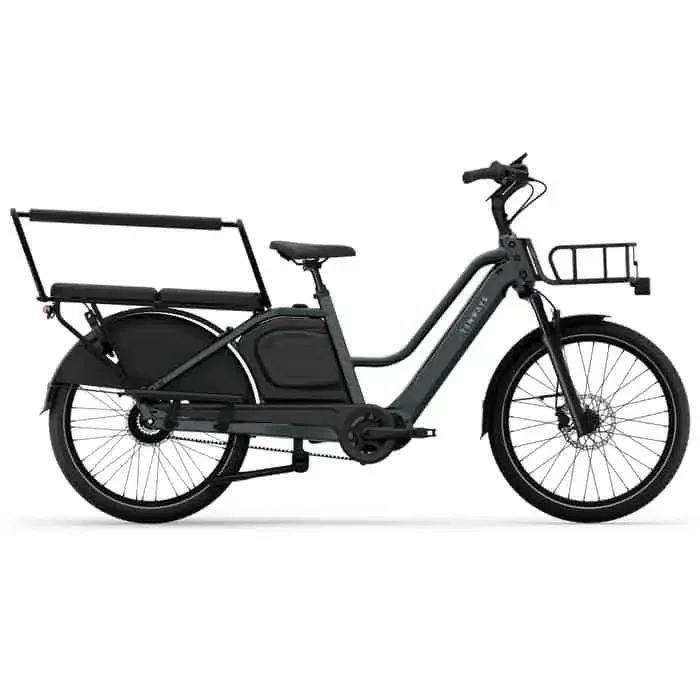 Tenways Longtail Duo E-Bike Lastenrad 24″ grau
