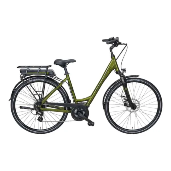 Triumph E-Bird 308 E-Bike Trekkingrad Tiefeinsteiger grün