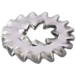 Zahnscheibe Doppelt M6 (50*)